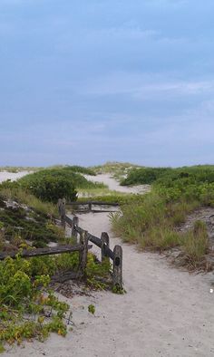 a wooden fence sitting on top of a sandy beach next to grass and bushes in the sand