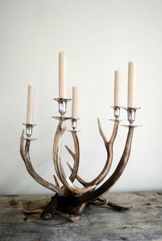 an antler with five candles in it sitting on a table next to a wall