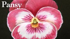 a pink and white flower with the words pansy on it's bottom corner