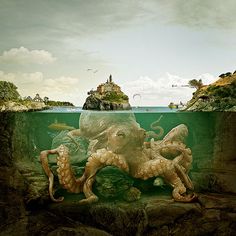 an octopus in the water with other animals around it