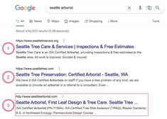 google search results for seattle tree care services