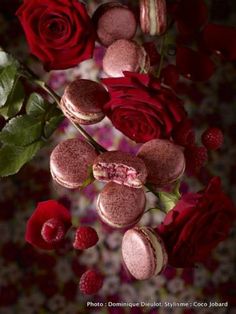 red roses and macaroons are arranged on a table