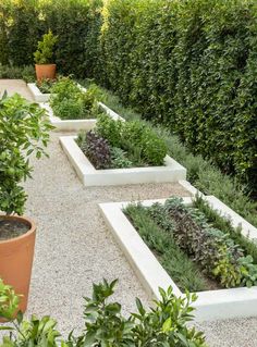 an outdoor garden with various plants in the center and two planters on each side