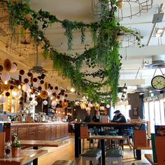 a restaurant with plants hanging from the ceiling