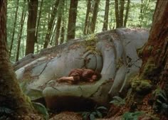 a person laying on top of a large rock in the middle of a forest filled with trees