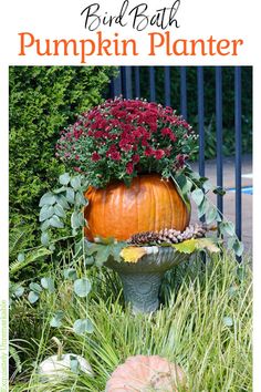 a pumpkin planter in the middle of some grass and flowers with text overlay