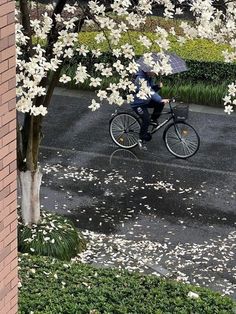 a person riding a bike with an umbrella in the rain next to a flowering tree