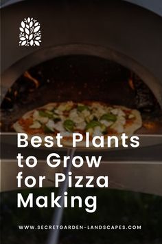 the words best plants to grow for pizza making are in front of an outdoor grill