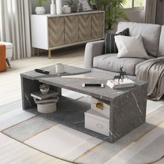 a living room with a couch, coffee table and potted plant in the corner