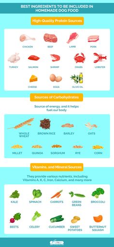 the different types of vegetables are shown in this infographtion chart, which shows what they