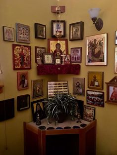 a wall with many framed pictures on it and a potted plant in the corner