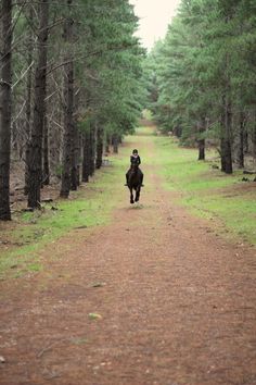 a person riding on the back of a horse down a dirt road surrounded by trees