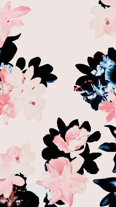 an image of flowers that are in the air on a white background with black and pink colors