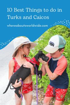 two young boys are holding their dogs on leashes and looking at each other with the caption, 10 best things to do in turks and caecos