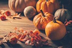 size: 12x8in Photographic Print: Pumpkins for Thanksgiving on Wooden Background by Brebca : Maple Tree Landscape, Thanksgiving Puns, Easy Fall Dinners, Thanksgiving Background, Thanksgiving Color, Thanksgiving Traditions, Thanksgiving Table Settings, Thanksgiving Feast, Fall Dinner