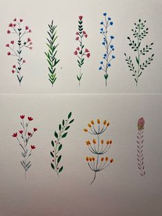 an assortment of flowers painted on white paper