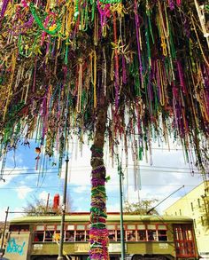 a tree covered in lots of colorful beads and streamers hanging from it's branches