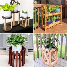 four different types of potted plants on wooden shelves and in pots with planters