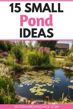 pond with lily pads and text overlay that reads 15 small pond ideas