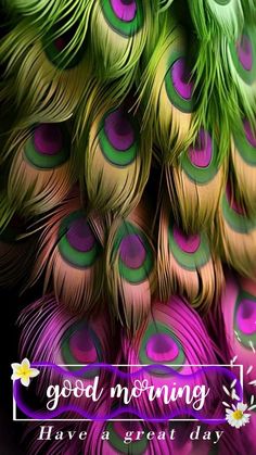 colorful feathers with the words good morning have a great day