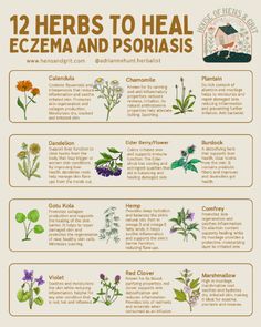 - #herb #herbs #herbalism #herbalist #herbalismo #eczema #eczemarelief #eczemahealing #eczemaproblems #eczemawarrior     view more :  https://linktr.ee/dongjing198185   #eczemaawareness #eczemababy #eczematreatment #eczemasucks #eczemawarriors #eczemacommunity #eczemafree #eczemacream #psoriasis #psoriaticarthritis #psoriasiswarrior #psoriasistreatment #psoriasiscommunity #psoriasisrelief #psoriasislife #psoriasisproblems