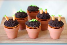 chocolate cupcakes with carrot toppers sitting in clay pots on a wooden tray