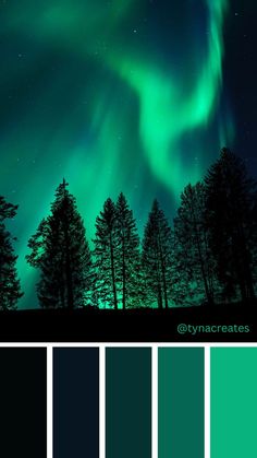 the aurora bore is lit up with green and blue hues in this color palette