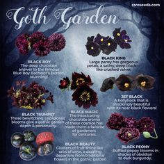 an info sheet describing the different types of flowers and their uses for each flower garden