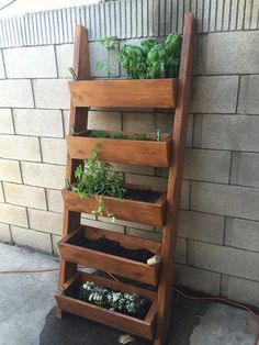 a wooden shelf with plants growing in it