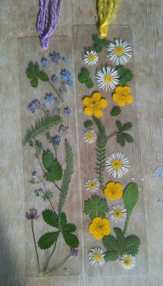 several different types of flowers and plants on a piece of paper with yarn next to them