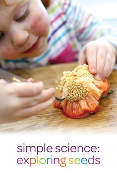 a young child is peeling an orange flower on a cutting board with the words, simple science for toddlers exploring seeds