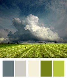 a field with grass and clouds in the background, including shades of gray, green, and yellow