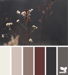 the color scheme is brown, gray, and white with some flowers in front of it