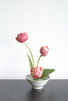 three pink tulips in a white bowl on a table