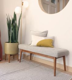 a living room with a couch, mirror and potted plant on the floor in front of it