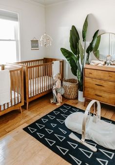 a baby's room with two cribs and a large potted plant