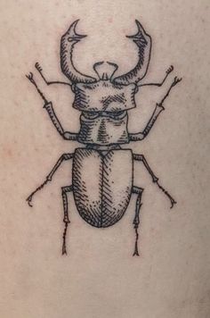 a beetle tattoo on the back of a woman's arm