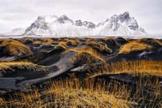 the mountains are covered in snow and brown grass as well as some yellow grasses on the ground