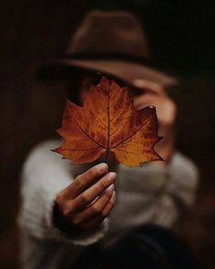 a person holding a leaf in their hands