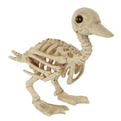 the skeleton of an ostrich is shown on a white background and it's looking at the camera