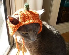 a gray cat wearing an orange knitted hat