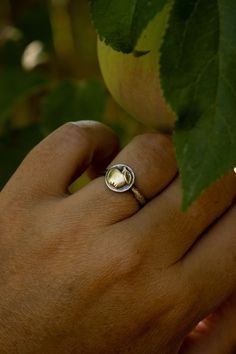 A tiny golden raw brass apple rests on a 10mm round solid sterling back plate. The band has been hand hammered for texture. A patina has been added to give this ring a rustic, more realistic look. Patinas change over time by the wearer so your ring will eventually shine and darken in a pattern specific to you. It looks great alone or stacked with my textured band, see last pictures. 10mm disc 10guage ring band Please choose your desired ring size in the drop down menu. ✦ C A R E - I N S T R U C Apple Rings, Teacher Jewelry, Fall Rings, Tarnish Remover, Golden Ring, Rustic Jewelry, Jewelry Photography, Fall Jewelry, Stackable Rings