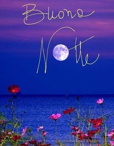 the moon is setting over the ocean with flowers in front of it and an inscription that reads, bluove note