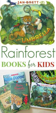 the rainforest books for kids are on display