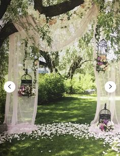 an outdoor wedding ceremony with flowers and birdcages on the grass under a tree