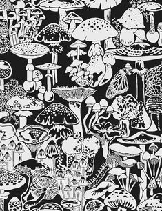 a black and white drawing of many different types of mushrooms on a surface with trees