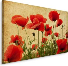 red poppies are growing in the grass on a wooden background canvas wall art print