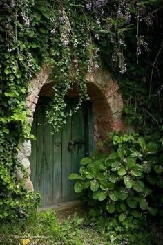 an old door is surrounded by vines and flowers