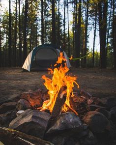 a campfire in the middle of a forest with a tent on it's side