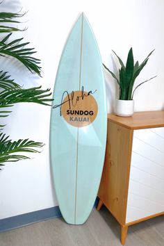 a surfboard sitting next to a potted plant